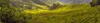 Grassy field on a cloudy day