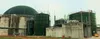 Bioenergy waste processing plant
